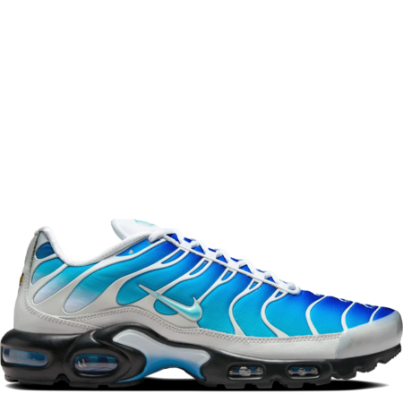 Nike Air Max Plus One Block Down 'Reverse Pack - Dry Water' (FZ3308 400)